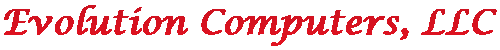 Evolution Computers
