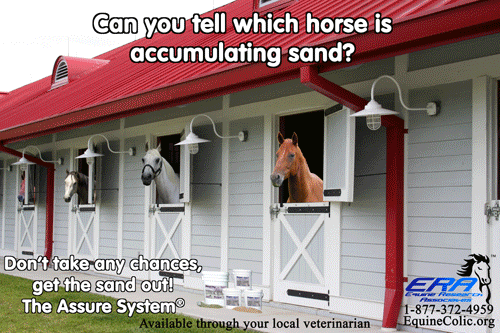 The Assure System ads