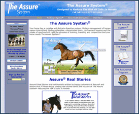 Web site design